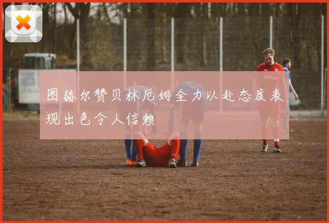 图赫尔赞贝林厄姆全力以赴态度表现出色令人信赖
