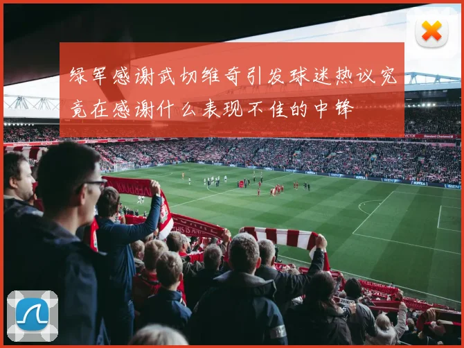 绿军感谢武切维奇引发球迷热议究竟在感谢什么表现不佳的中锋