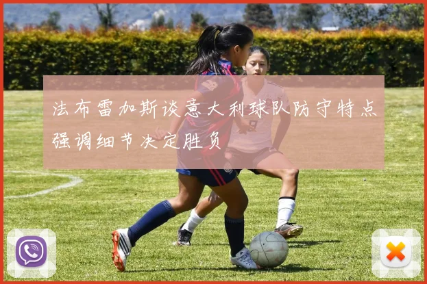 法布雷加斯谈意大利球队防守特点强调细节决定胜负